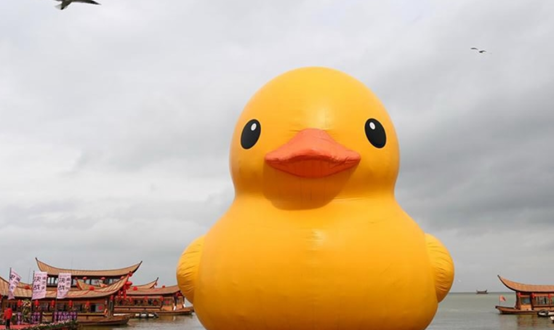 Giant Rubber Duck သည် တရုတ်နိုင်ငံ၊ ကူမင်းမြို့သို့ လှည့်လည်သွားလာနေသည်။